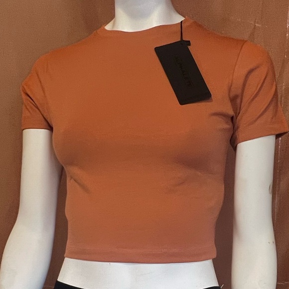 Alphalete Essential Short Sleeve Crop Top - Clay - Picture 6 of 7